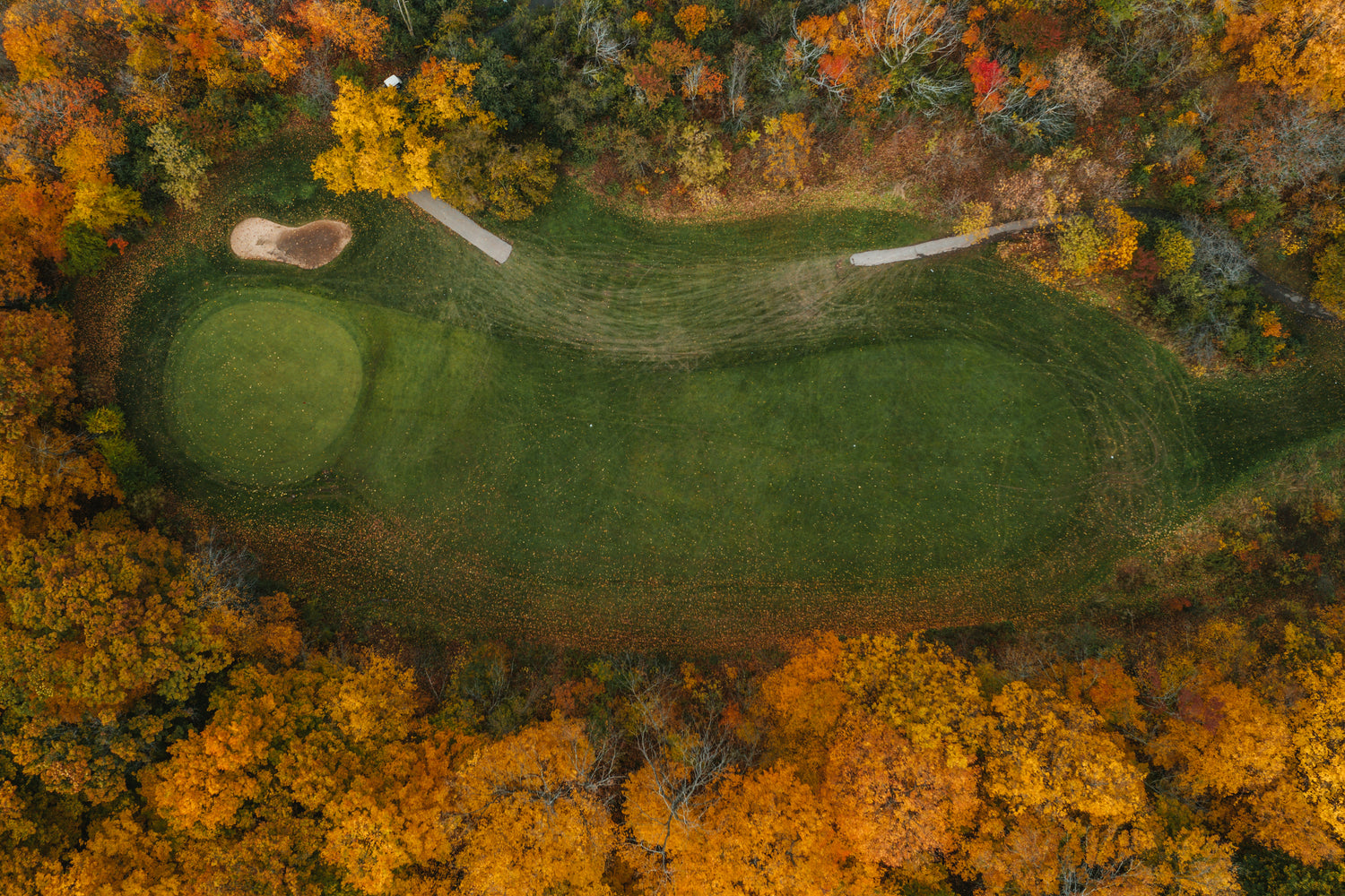 Henry Putter Co.